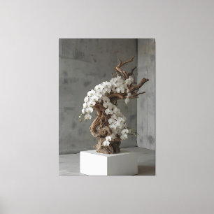 Phalaenopsis White × Driftwood – Ascending Flow Canvas Print