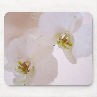 Phalaenopsis White Wild Orchid flowers in bloom Mouse Mat