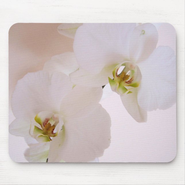 Phalaenopsis White Wild Orchid flowers in bloom Mouse Mat (Front)