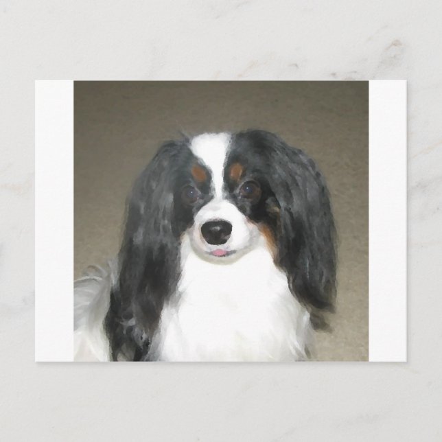 Phalene Papillon Postcard (Front)