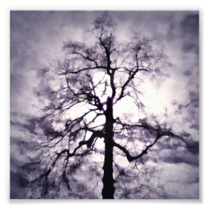 Phantastes Photo Print