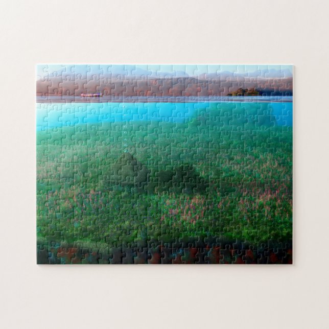 Phantastes: The Island Cottage Puzzle (Horizontal)