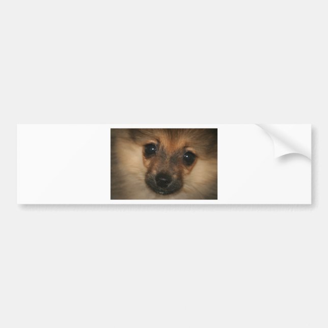 Phantom Dog Bumper Sticker (Front)