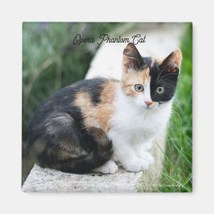Phantom Opera Cat Magnet