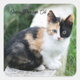 Phantom Opera Cat Square Sticker
