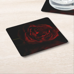 Phantom's dying rose square paper coaster
