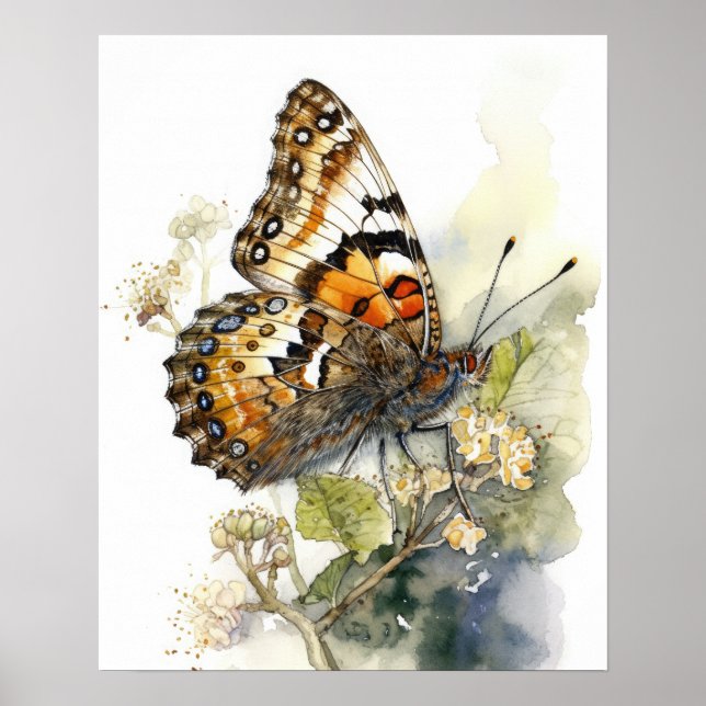 Phaon Crescent Butterfly Art Print Poster (Front)