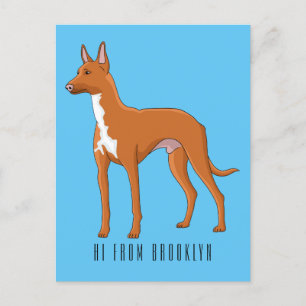 Pharaoh hound dog cartoon illustration  postcard