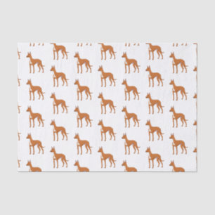 Pharaoh hound dog cartoon illustration  tissue paper