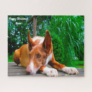 Pharaoh Hound Dog. Jigsaw Puzzle