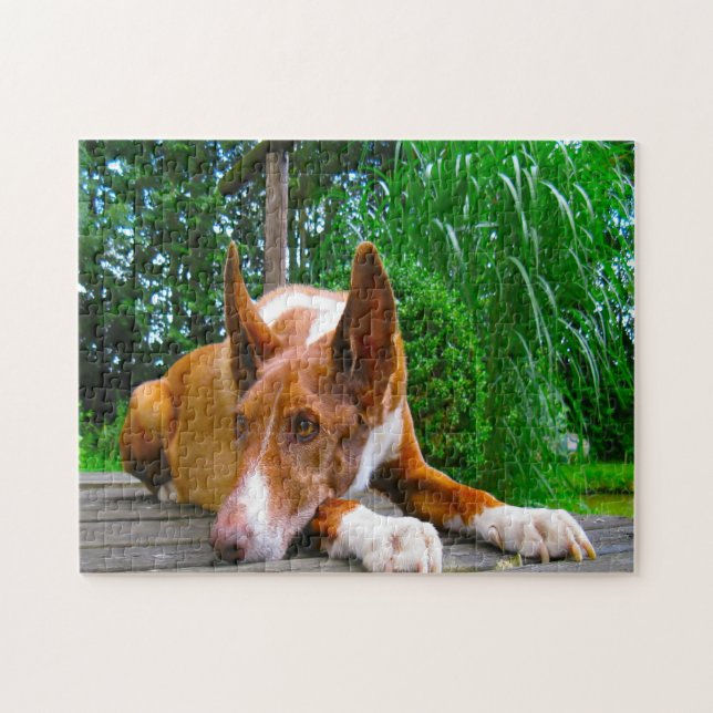 Pharaoh Hound Dog. Jigsaw Puzzle (Horizontal)