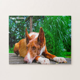 Pharaoh Hound Dog. Jigsaw Puzzle