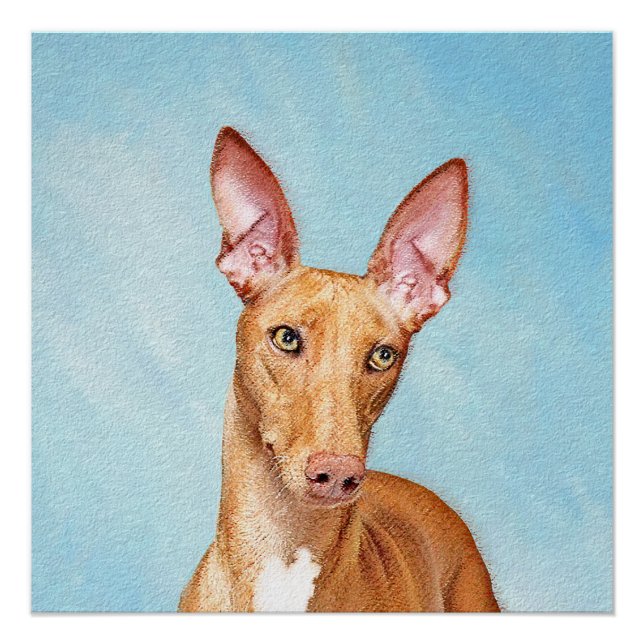 Pharaoh Hound Painting - Cute Original Dog Art Poster (Front)