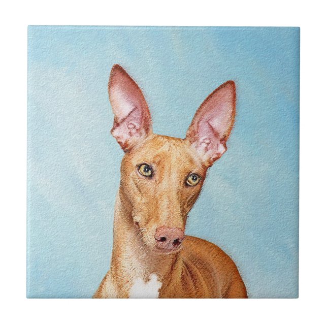 Pharaoh Hound Painting - Cute Original Dog Art Tile (Front)