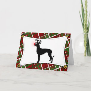 Pharaoh Hound Reindeer Christmas Card