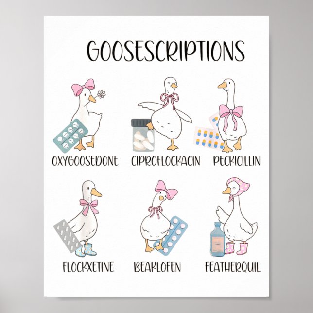 Pharmacy Funny Goose Silly Prescriptions Puns Medi Poster (Front)