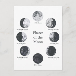 Phases of the Moon Lunar Cycle Postcard