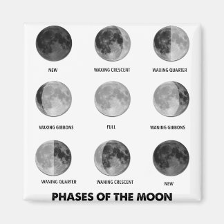Phases of the Moon Magnet