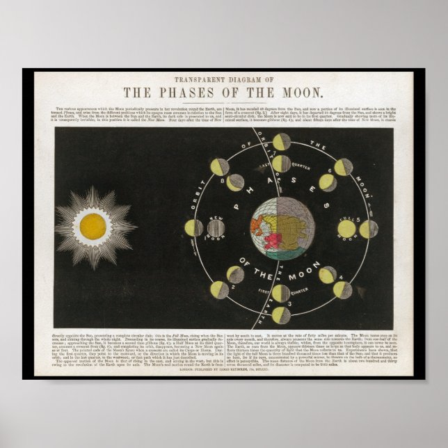 Phases of the Moon Print (Front)