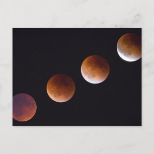 Phases of Total Lunar Eclipse   Seattle Postcard