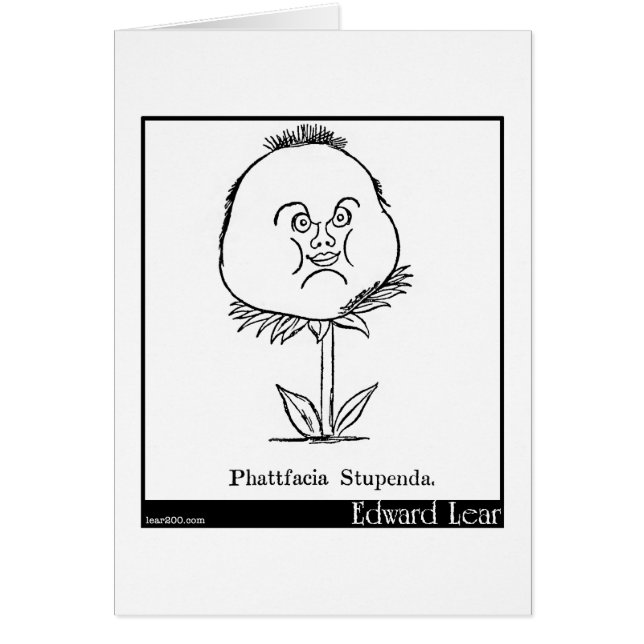 Phattfacia Stupenda. (Front)