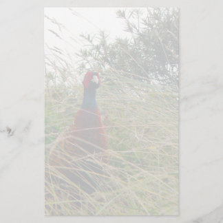 Pheantastic Stationery