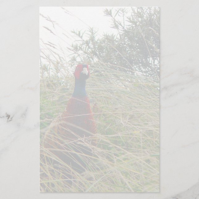 Pheantastic Stationery (Front)