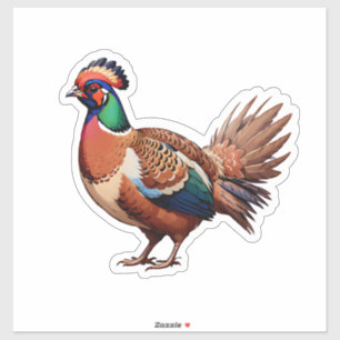 Pheasant