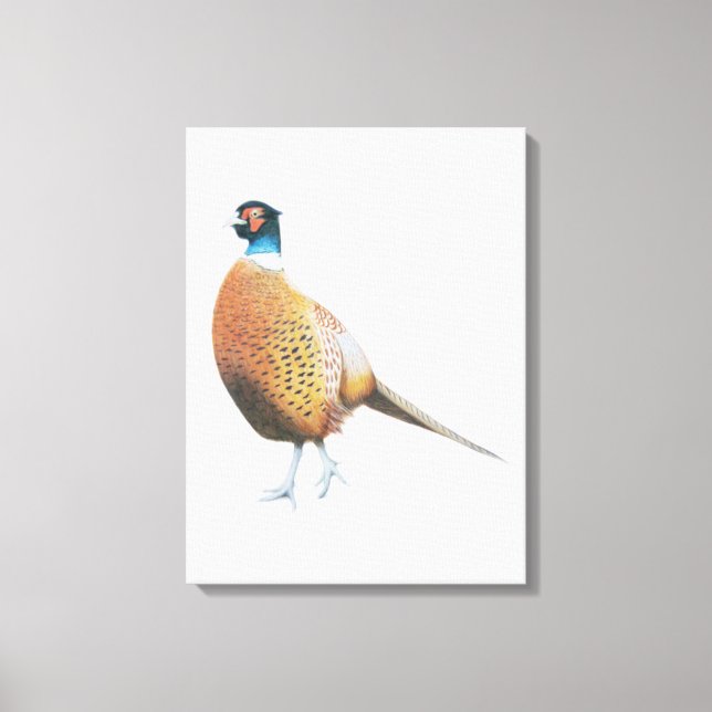 Pheasant 2012 canvas print (Front)