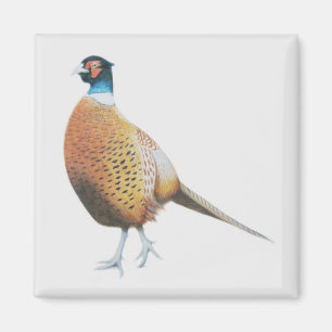 Pheasant 2012 magnet
