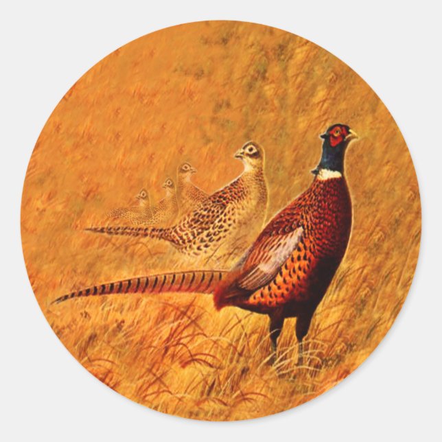 Pheasant Bird Nature Wildlife Stickers (Front)