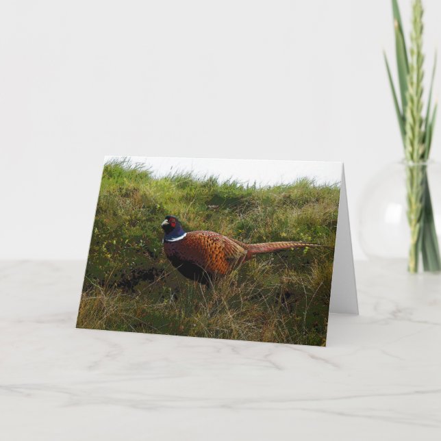 Pheasant Birthday card (Front)