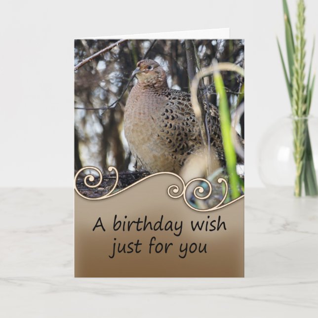 Pheasant Birthday Card - Wildlife Birthday Card (Front)