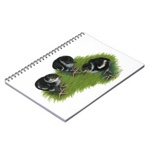 Pheasant Black Chicks Notebook