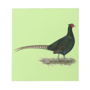 Pheasant Black Rooster Notepad