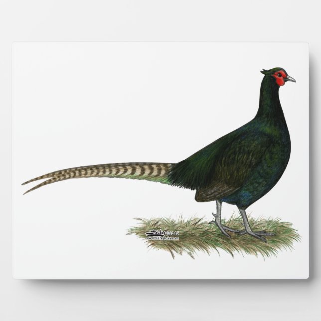 Pheasant Black Rooster Plaque (Front)
