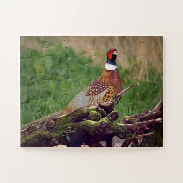 Pheasant by Fallen Tree Wildlife Oversized Jigsaw Puzzle (Horizontal)