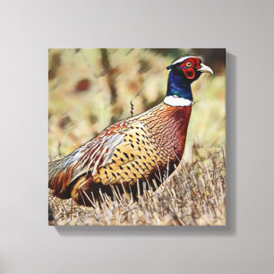 Pheasant Canvas Print