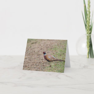 Pheasant Card