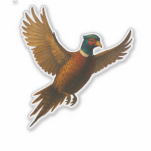 Pheasant Cut-out Sticker