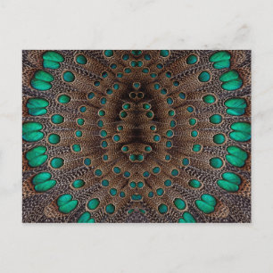 Pheasant Feather Fractal Design Postcard
