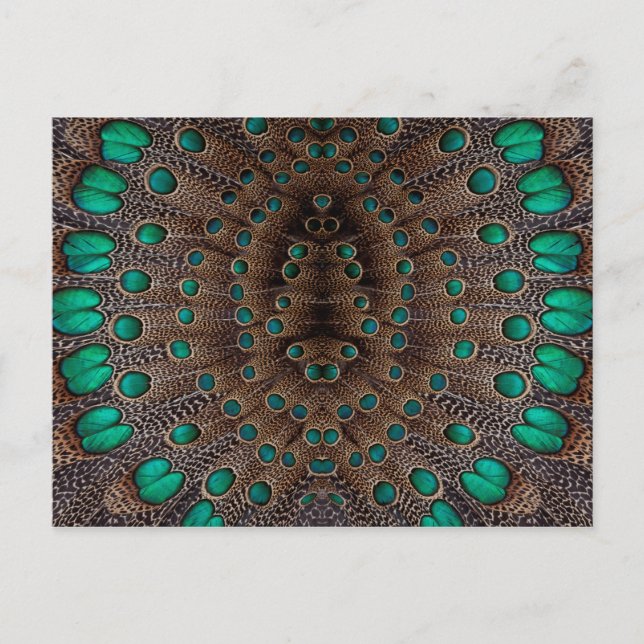 Pheasant Feather Fractal Design Postcard (Front)