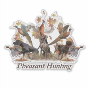 Pheasant Hunting