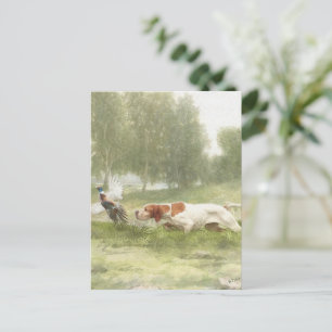 Pheasant Hunting with Pointer     Postcard