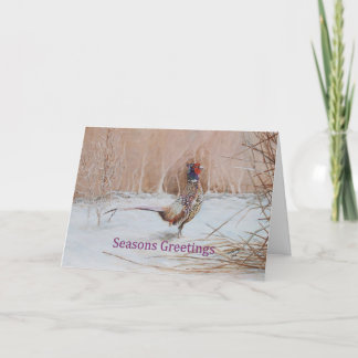 Pheasant in snow Seasons Greeting art Holiday Card