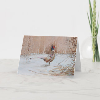 Pheasant in the snow holiday card