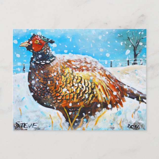 Pheasant in the snow! postcard (Front)