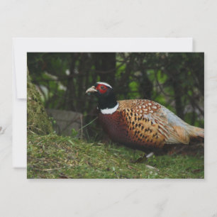 Pheasant Invitation