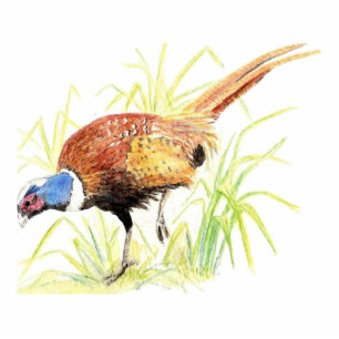 Pheasant, Keyring, Onament, Magnet, or Pin Standing Photo Sculpture