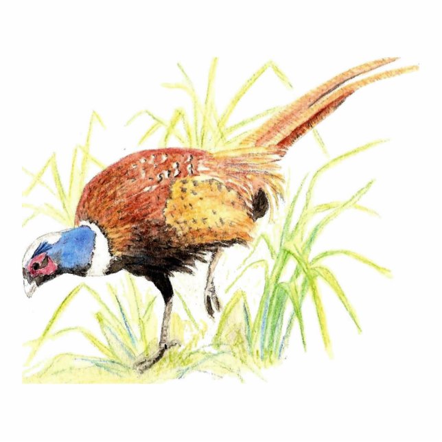 Pheasant, Keyring, Onament, Magnet, or Pin Standing Photo Sculpture (Front)